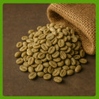 Unroasted green coffee beans spilling from a hessian sack, specialty-grade raw beans ideal for home roasting or wholesale supply.
