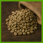 Unroasted green coffee beans spilling from a hessian sack, specialty-grade raw beans ideal for home roasting or wholesale supply.